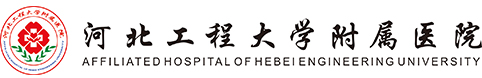 华人策略化网站